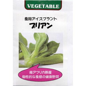珍しい野菜を育てたい！料理にも使いやすい野菜の種子のおすすめは？