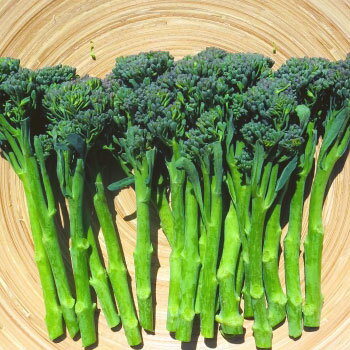 野菜の苗/ブロッコリー：スティックセニョールの苗2.5〜3号ポット