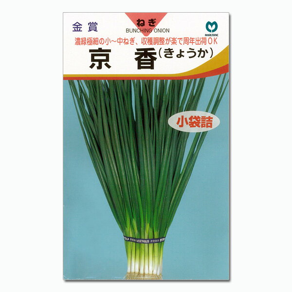ネギ：京香*