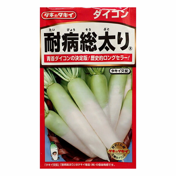 （わけあり特価）【有効期限24年04月】ダイコン：青首ダイコン(大根）　耐病総太り[野菜タネ]