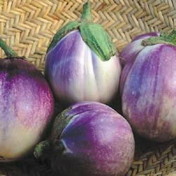 ナス：ロッサ ビアンコ[イタリアの伝統的な茄子 野菜