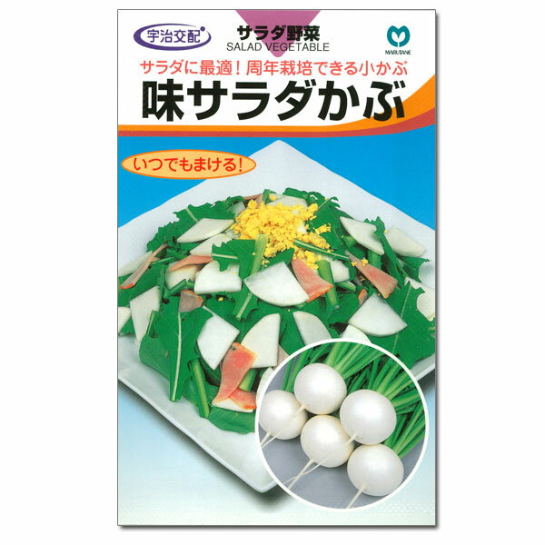 カブ種：味サラダかぶ