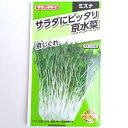 ミズナ：サラダにピッタリ京水菜　京しぐれ