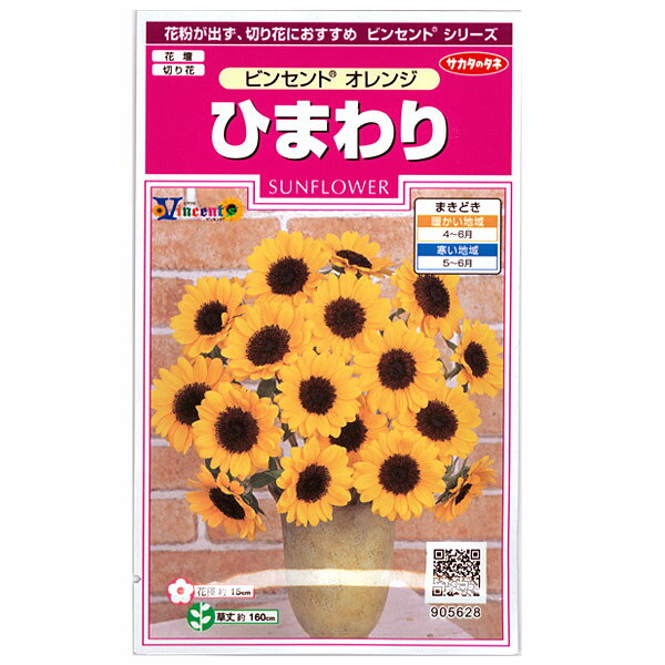（わけあり特価）【有効期限25年10月】ヒマワリ：ビンセント オレンジ[サカタ 花タネ]