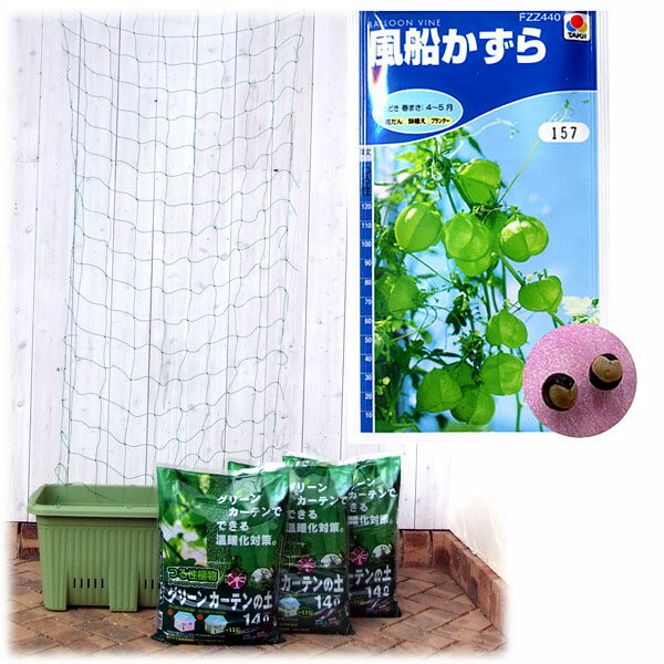 種から育てる緑のカーテン栽培セット:風船かずら(楽々菜園750型)