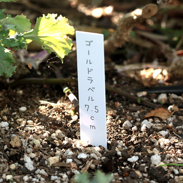 ゴールドラベル短冊型1.3cm×7.5cm 100枚入り（白）