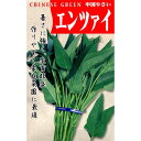 タネ・小袋 エンツァイ・クウシンサイ 3〜9月まきエンサイ（空芯菜）