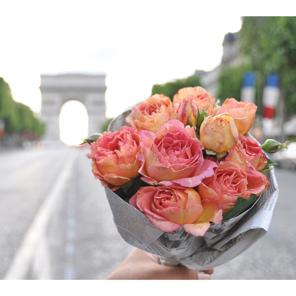 楽天市場】ラレーヌ ビクトリア バラの通販