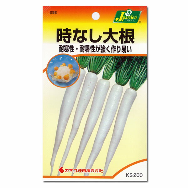 ダイコン：時なし大根[野菜タネ]