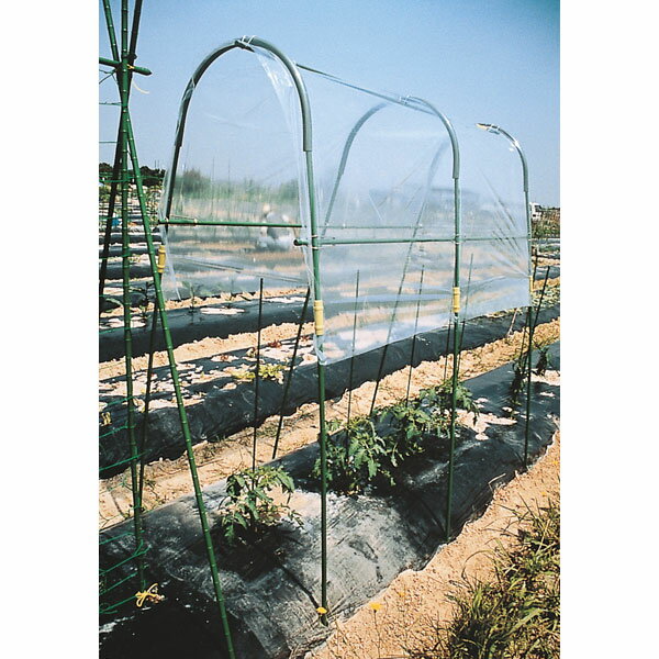 家庭菜園用雨よけアーチ：雨よけ栽培支柱セット（トマト・ナス・ピーマンに）のサムネイル