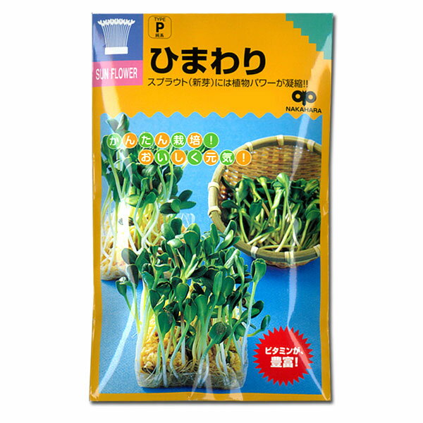 タネ・小袋モヤシの種（スプラウト栽培用）：ひまわり（姫ひまわり）[タネ]太めの茎と肉厚で明るい緑色の葉のスプラウトです。日本ではまだあまりなじみがありませんが、欧米ではスプラウトは人気が高い健康野菜です。ビタミンC、Eに富んでいます。葉を緑色にするには、7〜10日かかりますが、新芽を3〜4日で収穫して食べることもできます。まき時：通年発芽適温：20〜25度収穫期：種まきから1週間〜10日後　種数：30ml用途：サラダなど種まき：容器の底にスポンジやキッチンペーパーなどを敷き、しっかり濡れるまで水を入れ、その上に種子が重ならないようにまきます。暗い場所に置き、種がしっとり濡れるまで霧吹きなどで水を与えます。根が張れば、直接容器に水を注ぎ、毎日取り替えます。育て方：5〜6cm程度に伸びたら、日当りのよい窓際などに置き、日光を当てて緑化させます。緑化させると栄養価もアップします。1週間から10日ほどで収穫できます。モヤシの種（スプラウト栽培用）：ひまわり（姫ひまわり）[タネ]の栽培ガイドスプラウト（もやし）栽培3月のお手入れ〜「おいしいミニガーデン」のためのもやし（スプラウト）とハーブ梅雨時、暑い季節のもやし（スプラウト）管理法種まきの方法：容器の選び方種まきの方法：色々なタネスプラウトファームで育ててみよう！