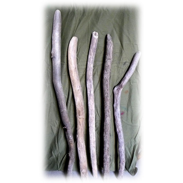 流木：幹 1500（1.2〜1.5m）3本セット