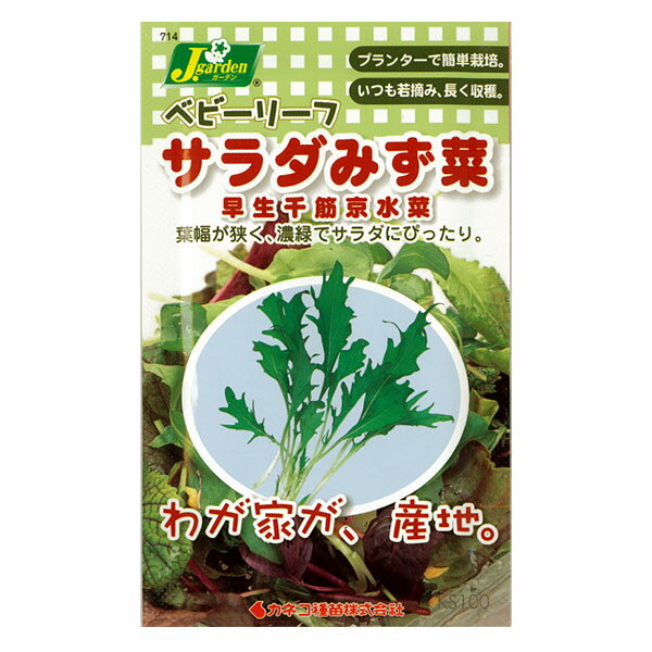 ベビーリーフの種：サラダみず菜 早生千筋京水菜[タネ]