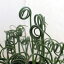 観葉植物/アルブカ スピラリス:フリズルシズル4号鉢植え 1,865円