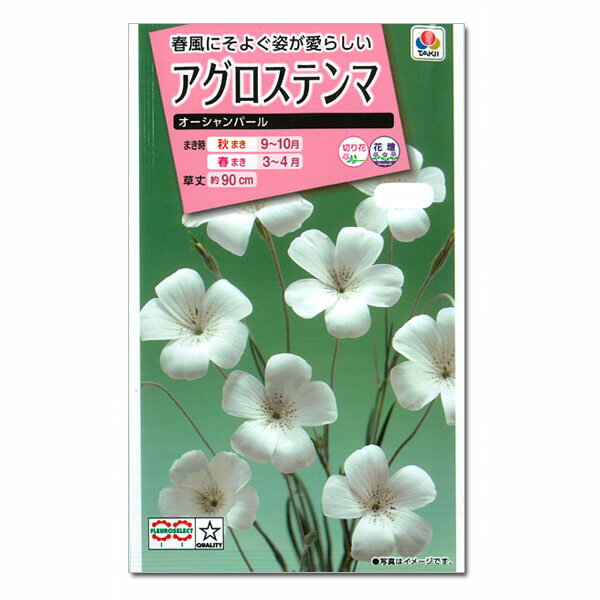 アグロステンマ：オーシャンパール の種[タキイ 花タネ]