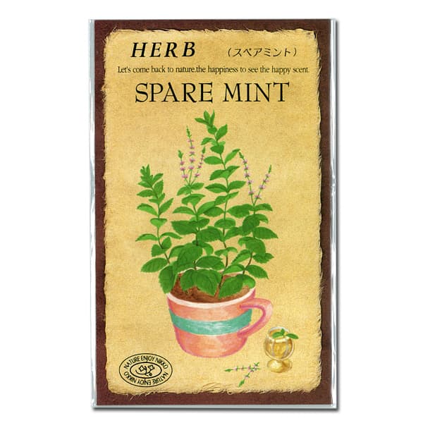 ミント：スペアミントの種[ハーブのタネ]