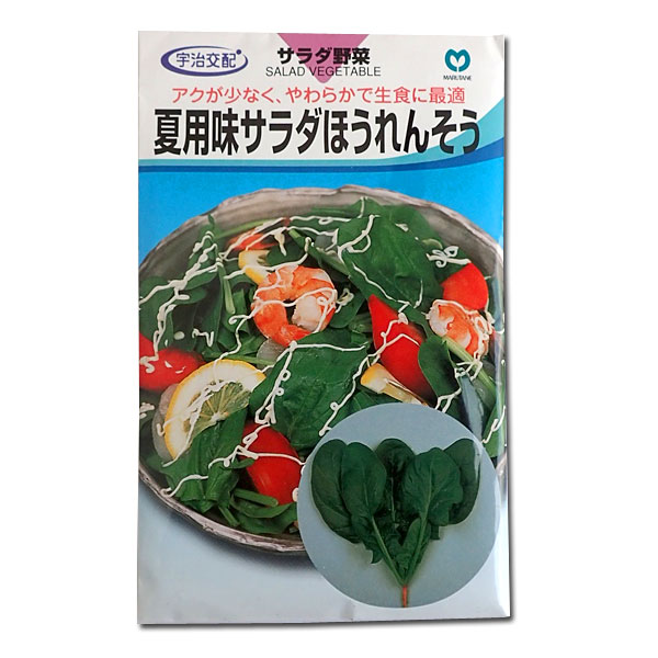 Rakuten - ほうれんそう種：夏用味サラダほうれんそう*[野菜タネ]