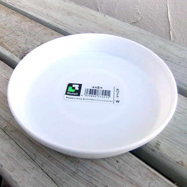 ���������ʼ������ˡ�5������30�祻�åȡ����