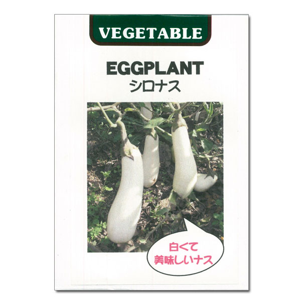 ナス：白ナス(イタリア野菜）[人気のシロナス 茄子 野