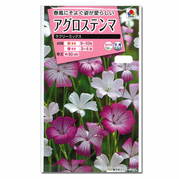 アグロステンマ：ラブリーミックスの種[タキイ 花タネ]