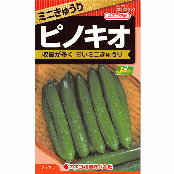 キュウリ：ピノキオ（ミニきゅうり）[野菜タネ]*