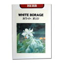 ボリジ:ホワイトボリジの種