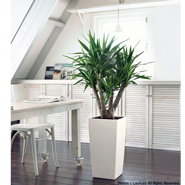 レチューザ・エコノミー：コラム30 ホワイト