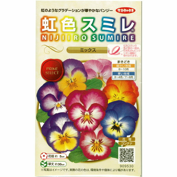 【有効期限24年10月】パンジー：虹色スミレミックス[花タネ]のサムネイル