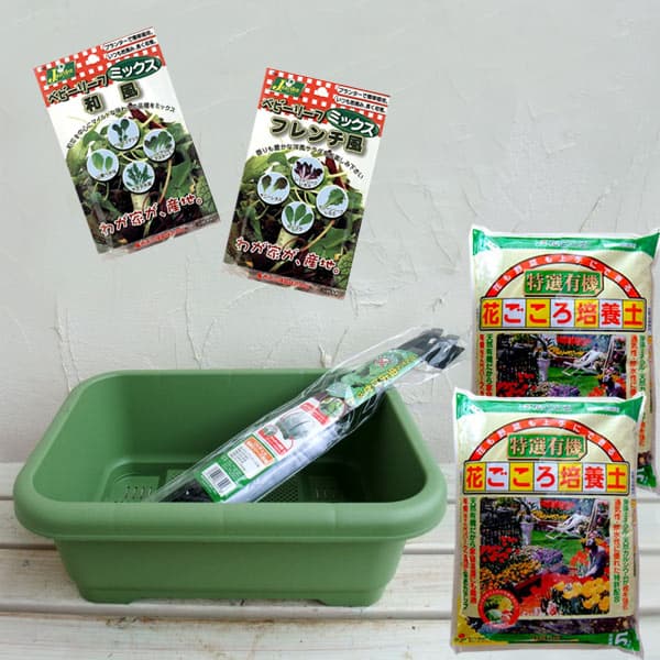 ベビーリーフミックス（フレンチ・和風）栽培セット（種2袋・培養土・プランター・虫よけネットセット）