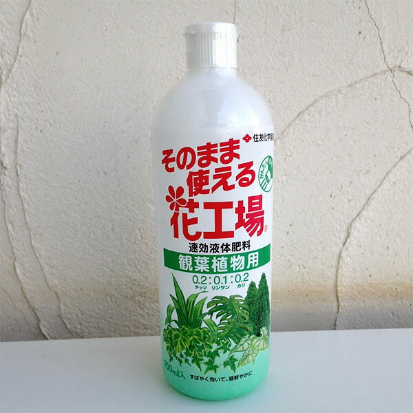 速効液体肥料 住友化学園芸そのまま使える花工場：観葉植物用700ミリリットル*薄めずそのまま使える、簡単便利な素早い効き目の液体肥料。葉色の鮮やかさを楽しむ、ポトス、ドラセナ、ベンジャミンなどの観葉植物にオススメです。ボトルの側面には目盛りがあり、1目盛りで約20ミリリットルです。ご利用の目安：5〜6号鉢で10ミリリットル（1/2目盛）7〜8号鉢で20ミリリットル（1目盛）ご利用方法：水やり後の土が湿っている時に与えて下さい。1ヶ所に集中せず、土の表面均一に染み込むよう与えると効果的です。成分比／N ：P ：K ＝0.2：0.1：0.2容量：700ミリリットル入り住友化学園芸社製剤型・使用方法シャワータイプ : そのまま散布対象作物観葉植物この薬剤の適用一覧及び使用法については住友化学園芸のホームページをご参照ください。そのまま使える花工場：観葉植物用700ミリリットル*の栽培ガイド観葉植物の管理方法