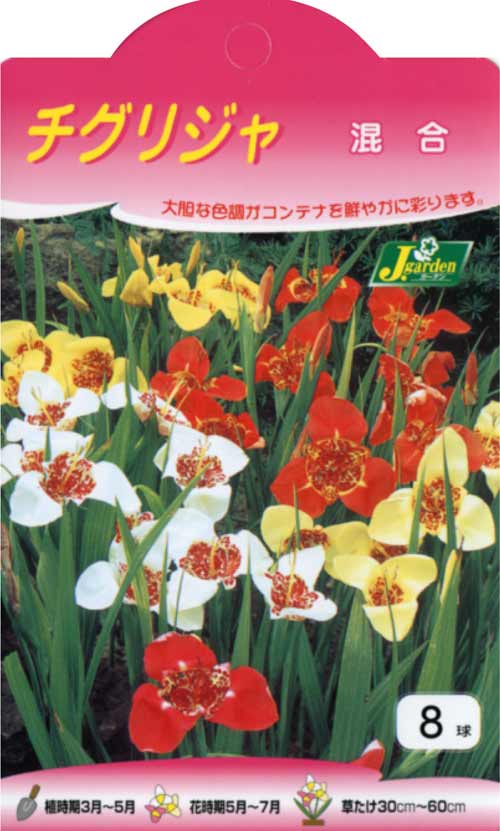 �庬/[26ǯ3���沼��ͽ��]�����ꥸ���ʥ���������꡼�˺���8������