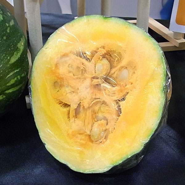 ��ڤ���/[26ǯ4���ͽ��]���ܥ��㡧�������������3.5��ݥå�