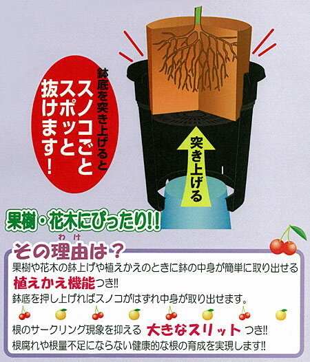 �̼�ȭ���֥�å���245����8��� 5�ĥ��å�