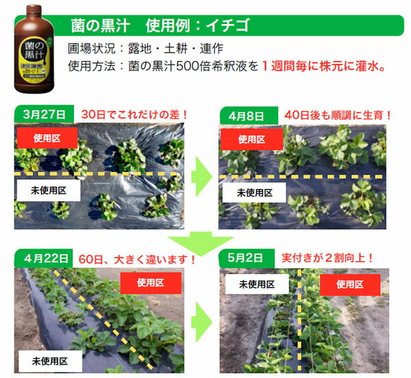 土壌改良・成長促進剤：菌の黒汁原液500ml