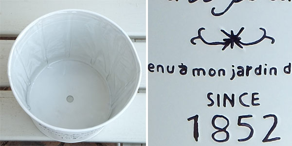 �ե����֥ꥭ�ݥåȥ饦���LL�ȥץ��ȥۥ�����Υ��å� ���󥰥���