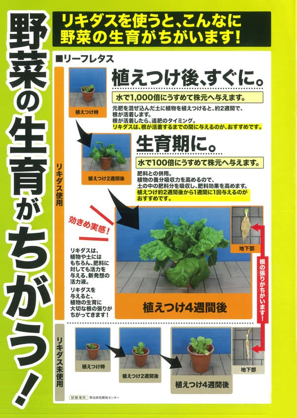ハイポネックス：原液800ml（6-10-5）と活力液リキダス450mlのセット