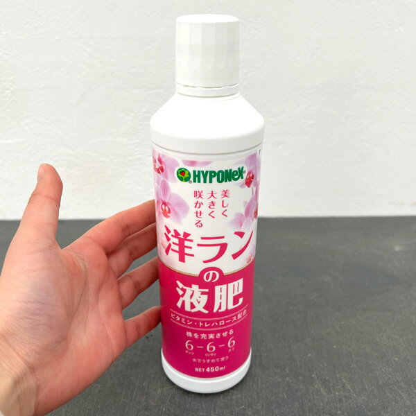 ハイポネックス：洋ランの液肥450ml入り (6-6-6)