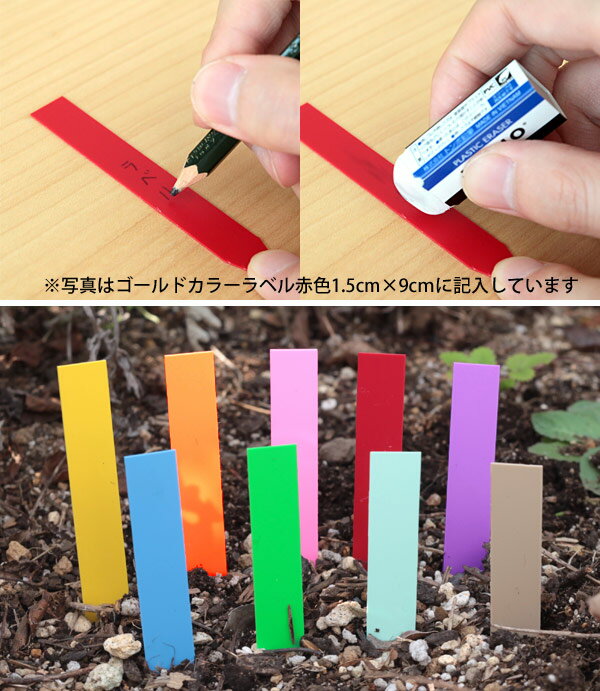 ������ɥ��顼��٥��ֿ�1.2cm��9cm 100������