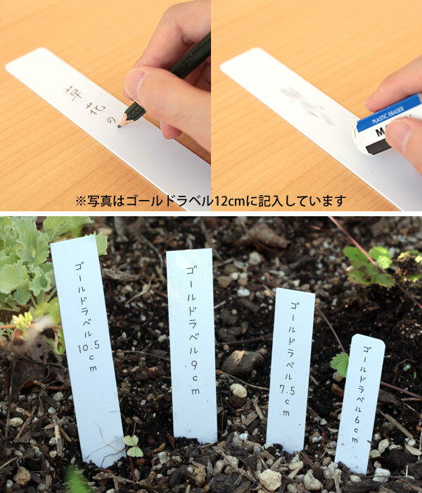 ゴールドラベル短冊型1.5cm×9cm 100枚入り（白）
