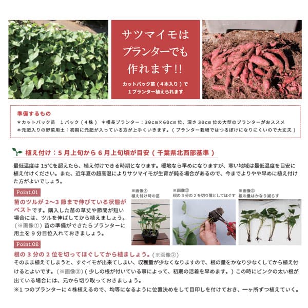 ��ڤ���/[26ǯ4���ͽ��]���ĥޥ��⡧�Ҥᤢ����(PVP)4Ϣ���åȥѥå�