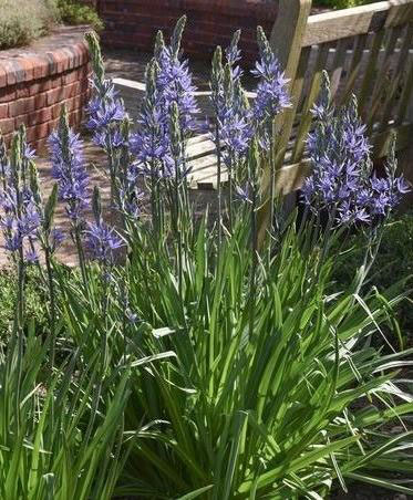 [26ǯ3���沼��ͽ��]���ޥ������饤�ҥȥ�ˡ� ������쥢4.5��ݥå�