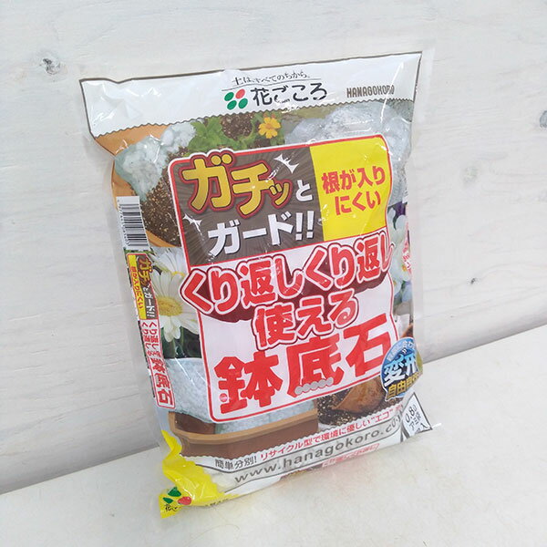 �����֤��Ȥ���ȭ����0.8��åȥ�����4����