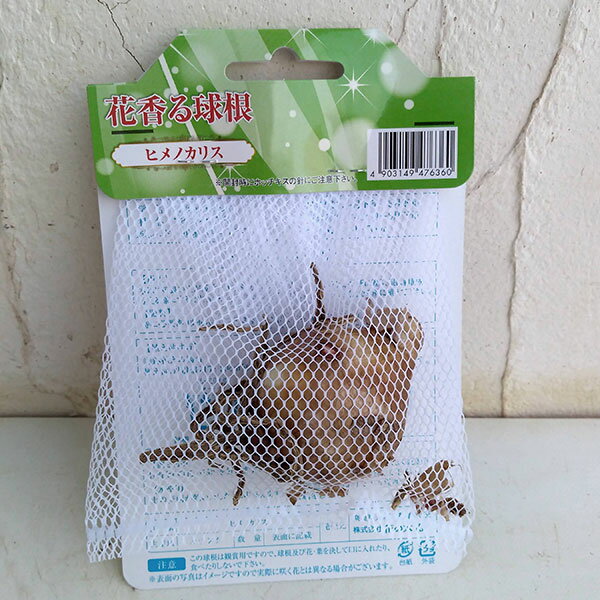 �庬/[26ǯ4����ͽ��]�ҥ�Υ��ꥹ(�ե������ꥹ)1������