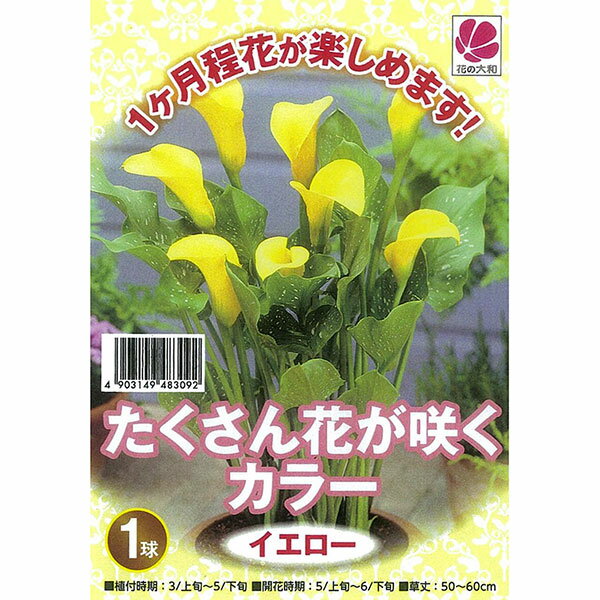 �庬/[26ǯ3���沼��ͽ��]���顼����������1������