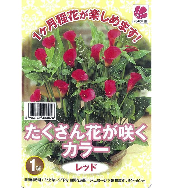 �庬/[26ǯ3���沼��ͽ��]���顼����å�1������