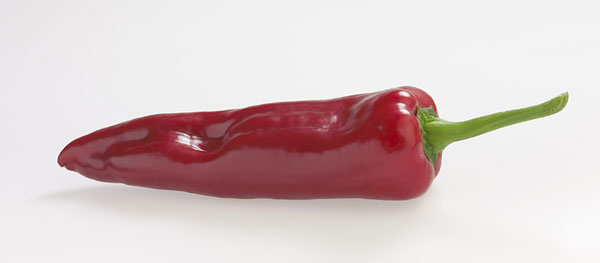 ��ڤ���/[26ǯ4���ͽ��]�ե롼�ƥ����ԡ��ޥ󡧥������ȥѥ���3��ݥå�