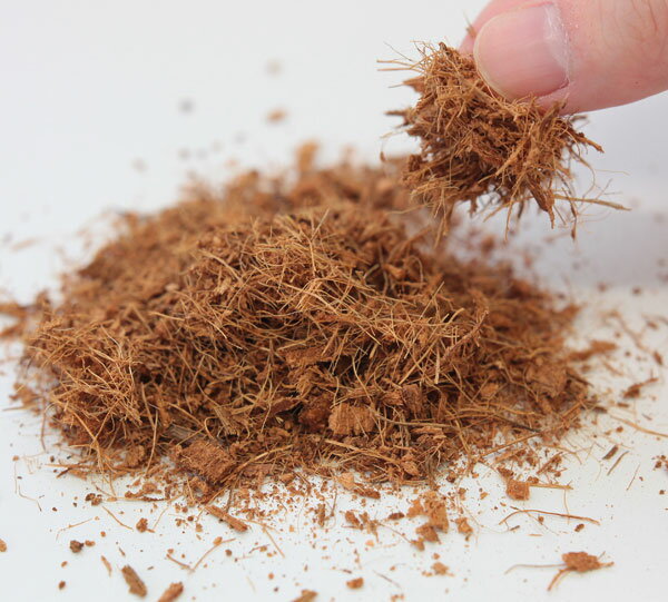 �٥�ܥ󡦥��������1��åȥ�����