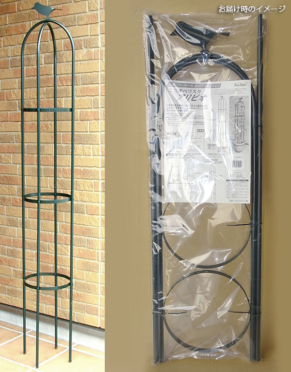 �ߥ˥��٥ꥹ��������ӥ�160H�ʹ⤵160cm��ľ��25cm��