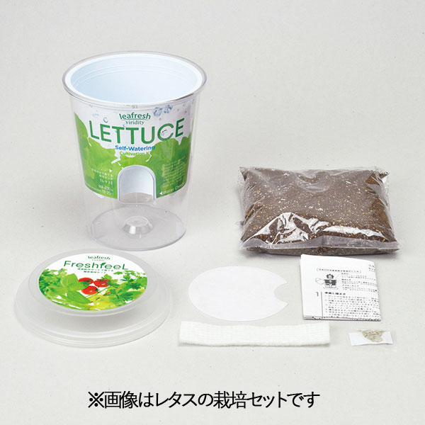 フレッシュフィール：レタス栽培セット（底面給水）