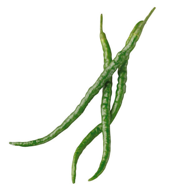 ��ڤ���/[26ǯ4���ͽ��]�ȥ����饷�������SPICY�ʥ��ѥ������˥ȥ����饷3��ݥå�